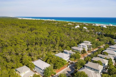 Build your dream coastal retreat in The Preserve at Grayton - photo 40
