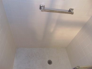 FIRST FLOOR. INCREDIBLE DEAL ON A 2 BEDROOM 2 BATH. BEAUTIFUL - photo 54
