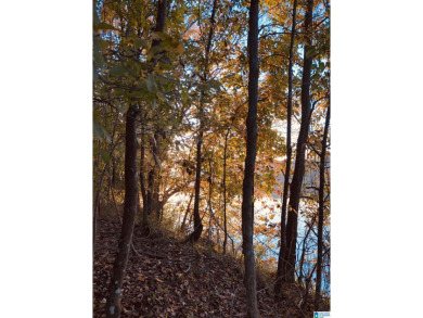 Lake Acreage For Sale in Childersburg, Alabama