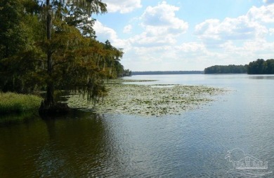 Lake Talquin Lot For Sale in Tallahassee Florida