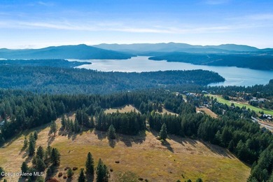 Discover a rare opportunity to own 32 acres of prime Lake View - photo 2