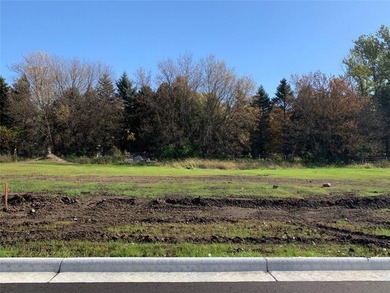 (private lake, pond, creek) Lot For Sale in Owatonna Minnesota