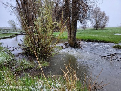 Rolling hills, lush pastures, and pristine riparian corridors - photo 6