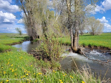 Rolling hills, lush pastures, and pristine riparian corridors - photo 8