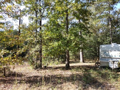 Lake Lot Under Contract in Woodville, Texas