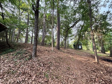 Tucked away in the peaceful waterfront community of White Oak - photo 13