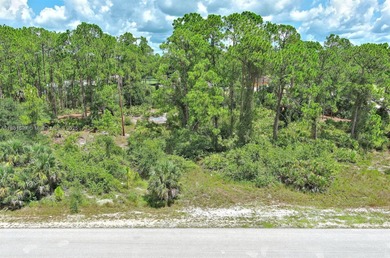 Lehigh Acres Area Lot For Sale in Lehigh Acres Florida