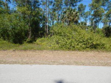 Lehigh Acres Area Lot For Sale in Lehigh Acres Florida