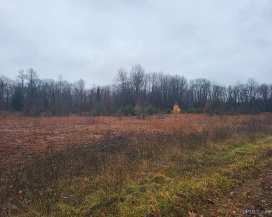 Lake Lot For Sale in Iron Mountain, Michigan