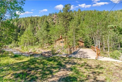 A RIVER RUNS THROUGH IT!! The Saint Vrain River. This property - photo 3