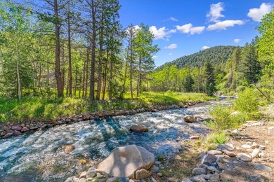 A RIVER RUNS THROUGH IT!! The Saint Vrain River. This property - photo 4