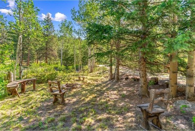 A RIVER RUNS THROUGH IT!! The Saint Vrain River. This property - photo 5