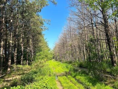 Lake Acreage For Sale in , Mississippi