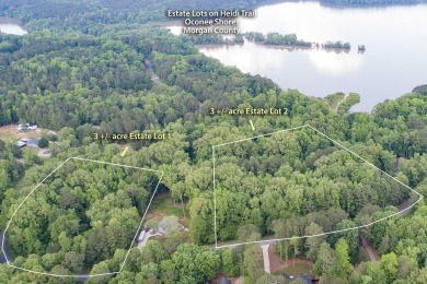 Lake Lot Off Market in Buckhead, Georgia