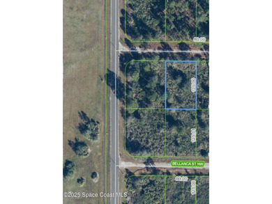 Lake Placid - Highland County Lot For Sale in Lake Placid Florida