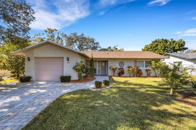 Lake Tarpon Home For Sale in Palm Harbor Florida