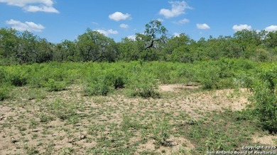 (private lake, pond, creek) Acreage For Sale in La Vernia Texas