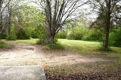 Great investor or first time owner home. Huge front yard to play - photo 9