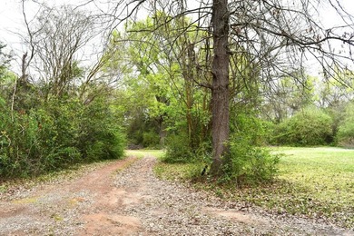 Great investor or first time owner home. Huge front yard to play - photo 10