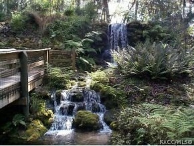 Situated centrally within the Rainbow Springs Community, this - photo 28