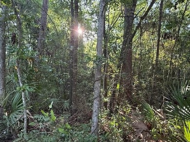 This beautiful lot is located inside the Gated Community of - photo 3