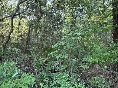 This beautiful lot is located inside the Gated Community of - photo 4