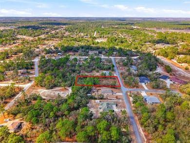 Build your Florida dream home on this spacious 0.75-acre - photo 11