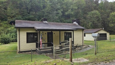 Lake Home For Sale in Coxs Mill, West Virginia