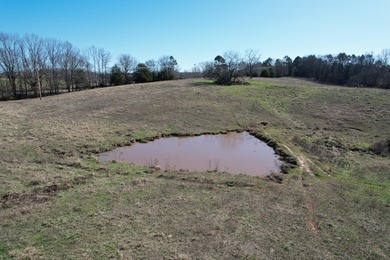 Excellent 13 acre tract on Highway 349 in Potts Camp, MS - photo 11