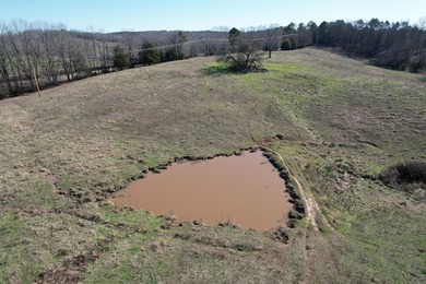 Excellent 13 acre tract on Highway 349 in Potts Camp, MS - photo 12