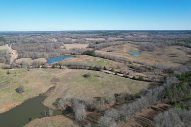 Excellent 13 acre tract on Highway 349 in Potts Camp, MS - photo 13
