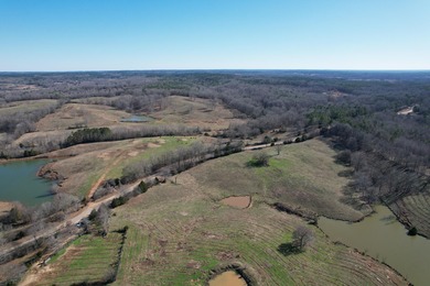 Excellent 13 acre tract on Highway 349 in Potts Camp, MS - photo 14