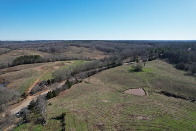 Excellent 13 acre tract on Highway 349 in Potts Camp, MS - photo 15