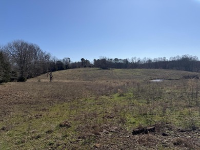 Excellent 13 acre tract on Highway 349 in Potts Camp, MS - photo 16