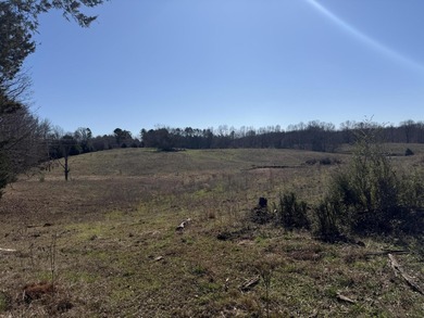 Excellent 13 acre tract on Highway 349 in Potts Camp, MS - photo 17