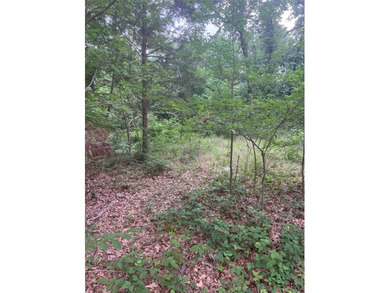 Buildable lot or a manufactured home could be moved in. This lot - photo 1