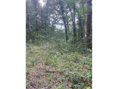 Buildable lot or a manufactured home could be moved in. This lot - photo 2