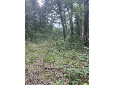 Buildable lot or a manufactured home could be moved in. This lot - photo 3