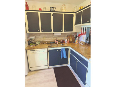 Beautiful corner-unit condo located in the desirable 55+ - photo 33
