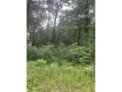 Buildable lot or a manufactured home could be moved in. This lot - photo 4