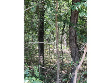 Buildable lot or a manufactured home could be moved in. This lot - photo 5