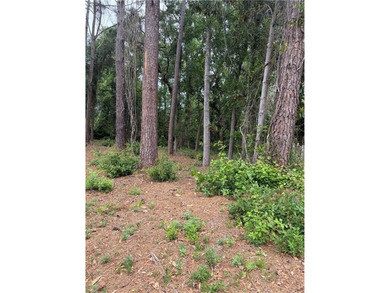 Build your dream home on this lot located in the coveted Palm - photo 1