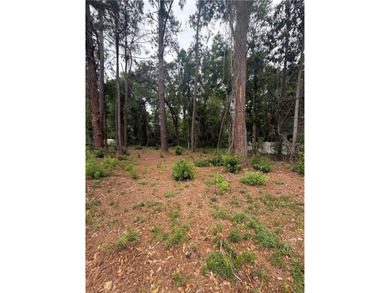 Build your dream home on this lot located in the coveted Palm - photo 3
