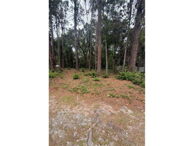 Build your dream home on this lot located in the coveted Palm - photo 4