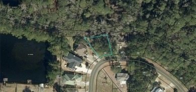 Build your dream home on this lot located in the coveted Palm - photo 5