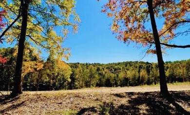 Dale Hollow Lake Acreage For Sale in Burkesville Kentucky