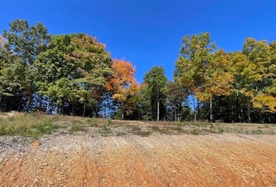 Welcome to tract 4 of the Village at Dale Hollow, a race - photo 2