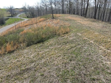 Welcome to tract 4 of the Village at Dale Hollow, a race - photo 3