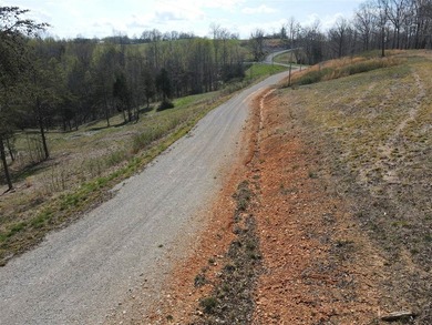 Welcome to tract 4 of the Village at Dale Hollow, a race - photo 4