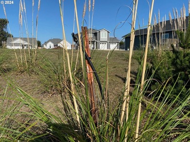 OCEAN TERRACE! Coveted Ocean Terrace lot near Bandon's world - photo 14